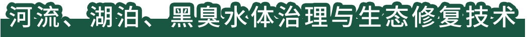 河流、湖泊、黑臭水體治理與生態(tài)修復技術