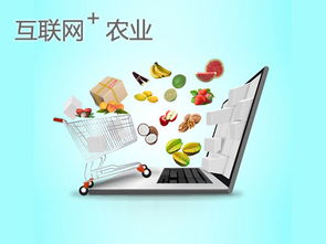 武漢農產品電商銷售突破300億元 電商新業(yè)態(tài)賦能鄉(xiāng)村振興