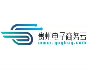 貴州電子商務云運營有限責任公司 實業(yè)投資的新篇章